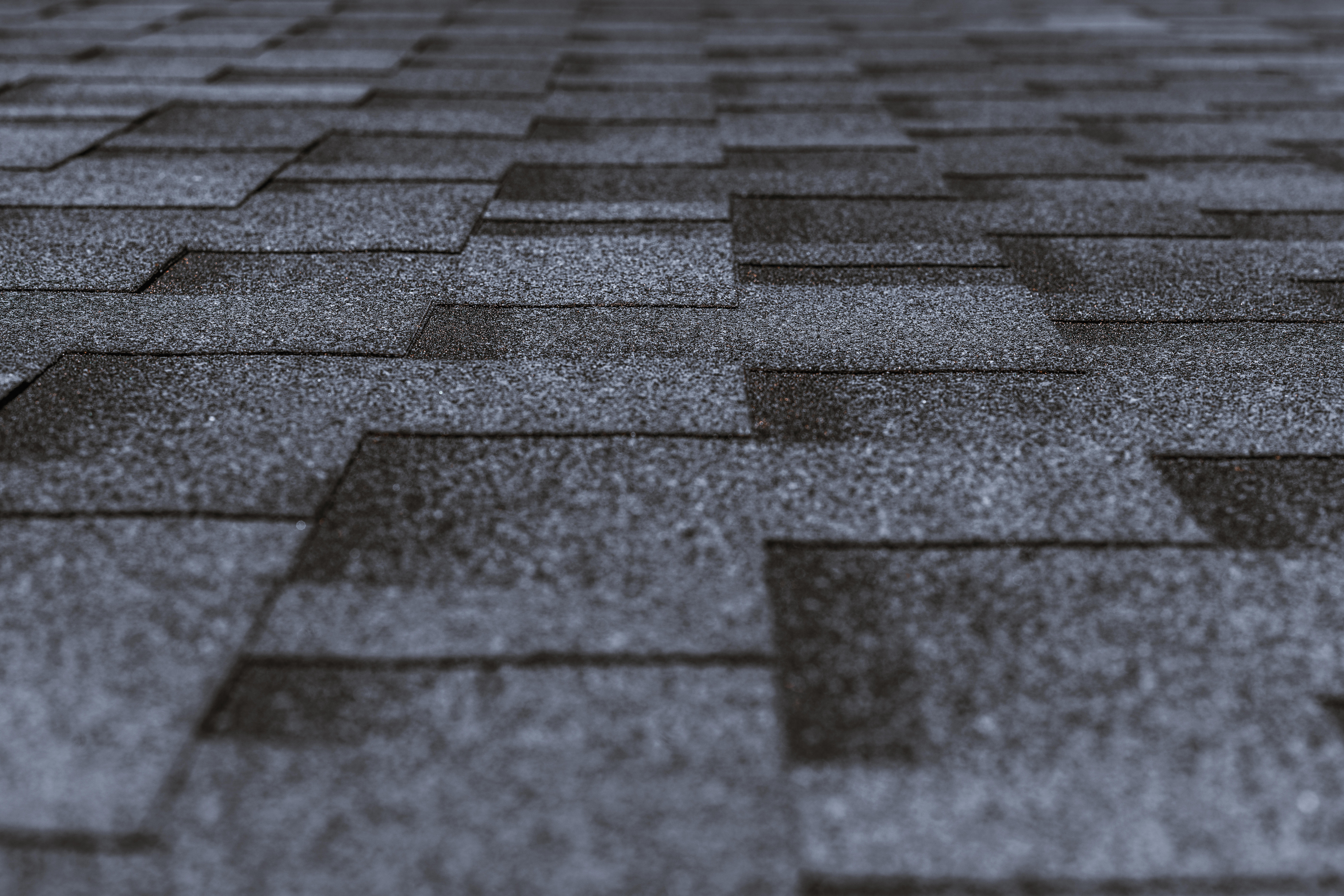 Shingle roof assessment